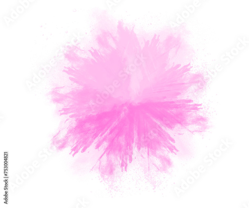 pink feathers isolated on white