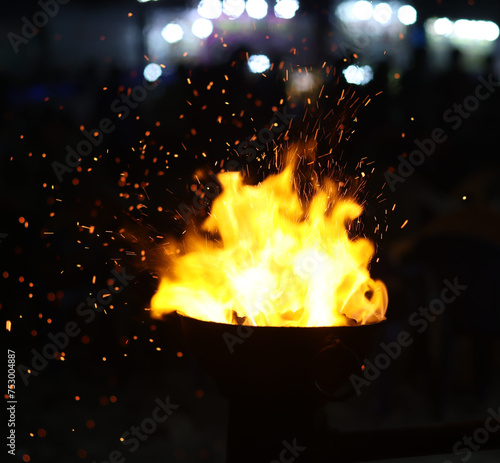 Burning flames and sparks are visible on a dark background with a fire at night.