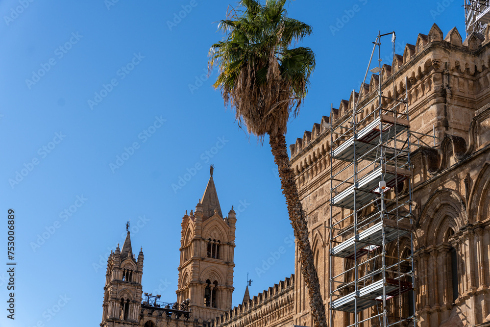 Fototapeta premium A palm tree is in front of a building with a blue sky in the background