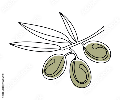 Branch with green olives drawn in one line. Vector illustration of Olives with a continuous line.