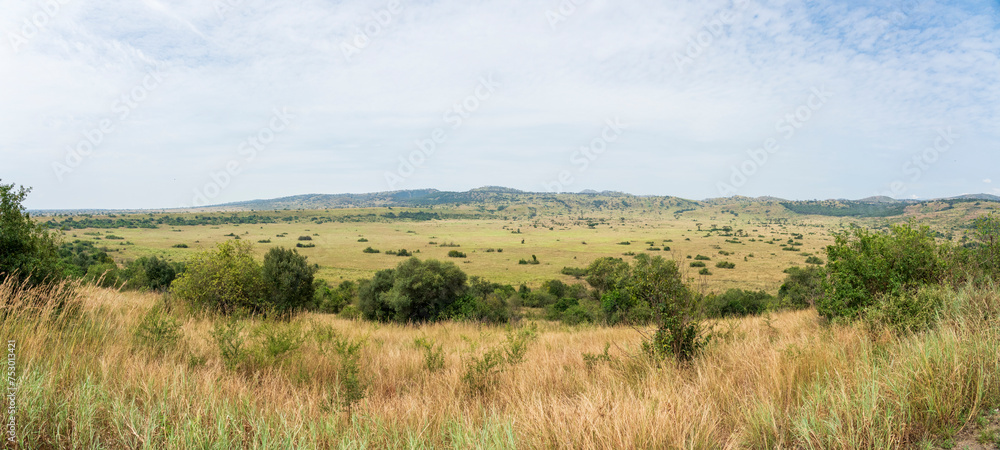 View from Queen Elisabeth national park, Uganda, Africa.