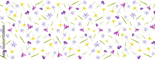  Seamless pattern from different spring flowers isolated on a white background. Top view. Springtime Florals. Long banner