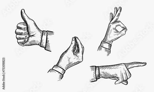 Vector illustration of a set of male hand gestures. Pointing finger, like or thumb up, Italian gesture and ok sign. Hand drawn vintage engraving style. photo