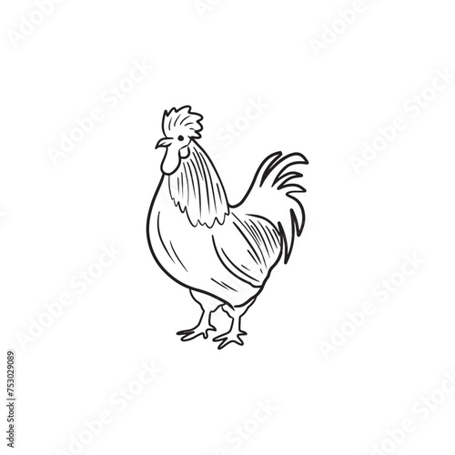 Beautiful realistic chicken cock rooster in black isolated on white background. Hand drawn vector sketch doodle illustration in vintage engraved line art style. Farm animals, eggs, protein products.