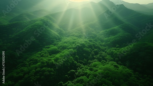 Sunlight Breaking Through Green Mountain Forest