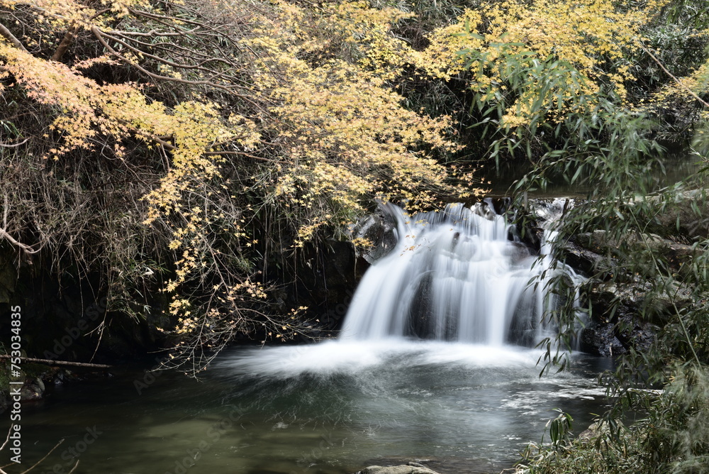 Obraz premium 奈良県の明日香村の稲渕にて