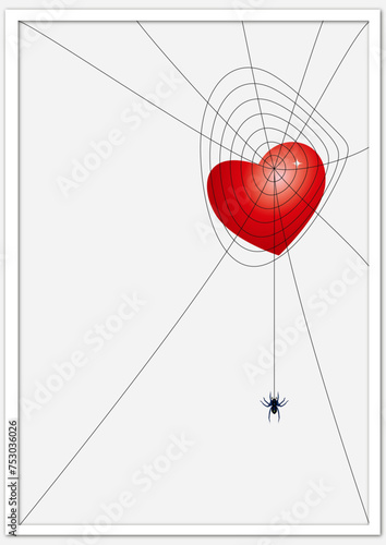 Spinnennetz 5
