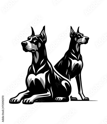 Doberman pincher breed dog. Isolated vector illustration