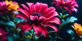 A vibrant flower with a dark backdrop.