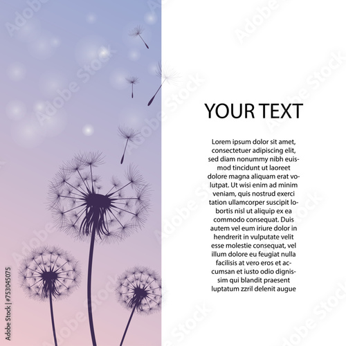 vector dandelion blowing seeds with flower background for banner poster, cards, and template. Black Dandelion seeds blowing in the wind. The wind inflates a dandelion isolated on white background.