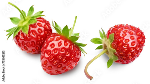 Bild auf Leinwand Three ripe wild strawberries isolated on a transparent background