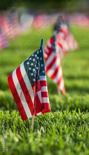 Honoring american veterans on memorial day with flags at the national cemetery, a patriotic tribute.