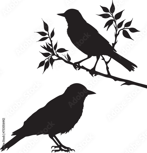 Bird on branch black silhouette vector on white background