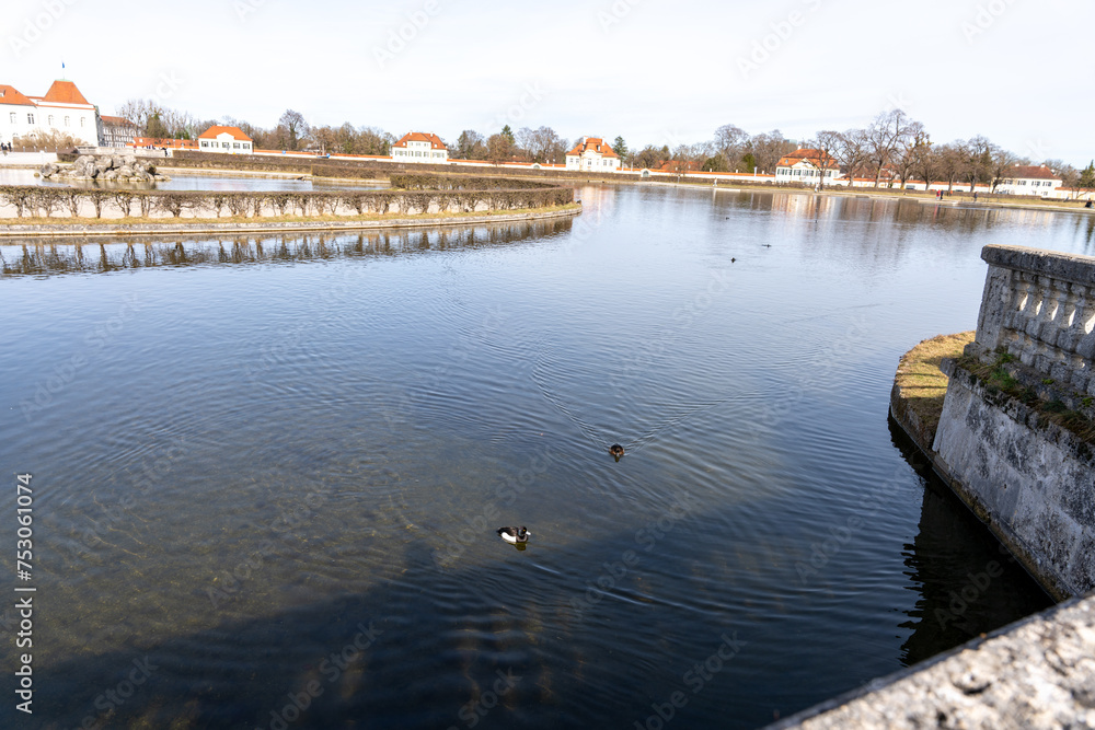 A pond with ducks swimming in it