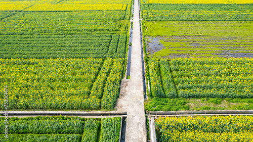 Bild auf Leinwand farmland water conservancy irrigation water channel