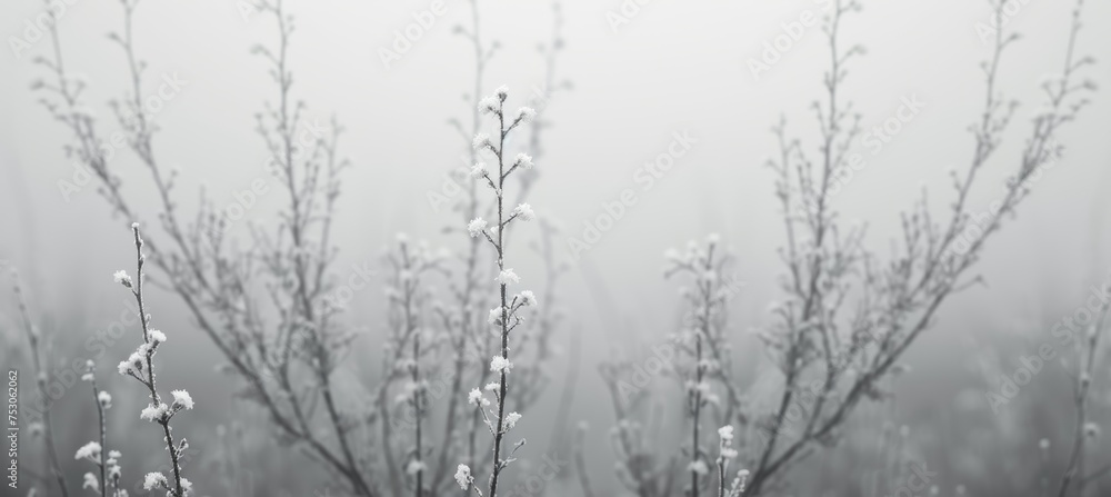 Beautiful white abstract autumn minimalistic background with soft tones and elegant design Beautiful white abstract autumn minimalistic background with soft tones and elegant design