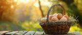 basket of chicken eggs on a wooden table over farm