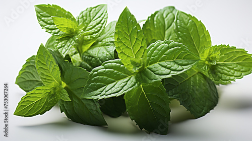 3d rendered photo of mint on a white background, generative ai