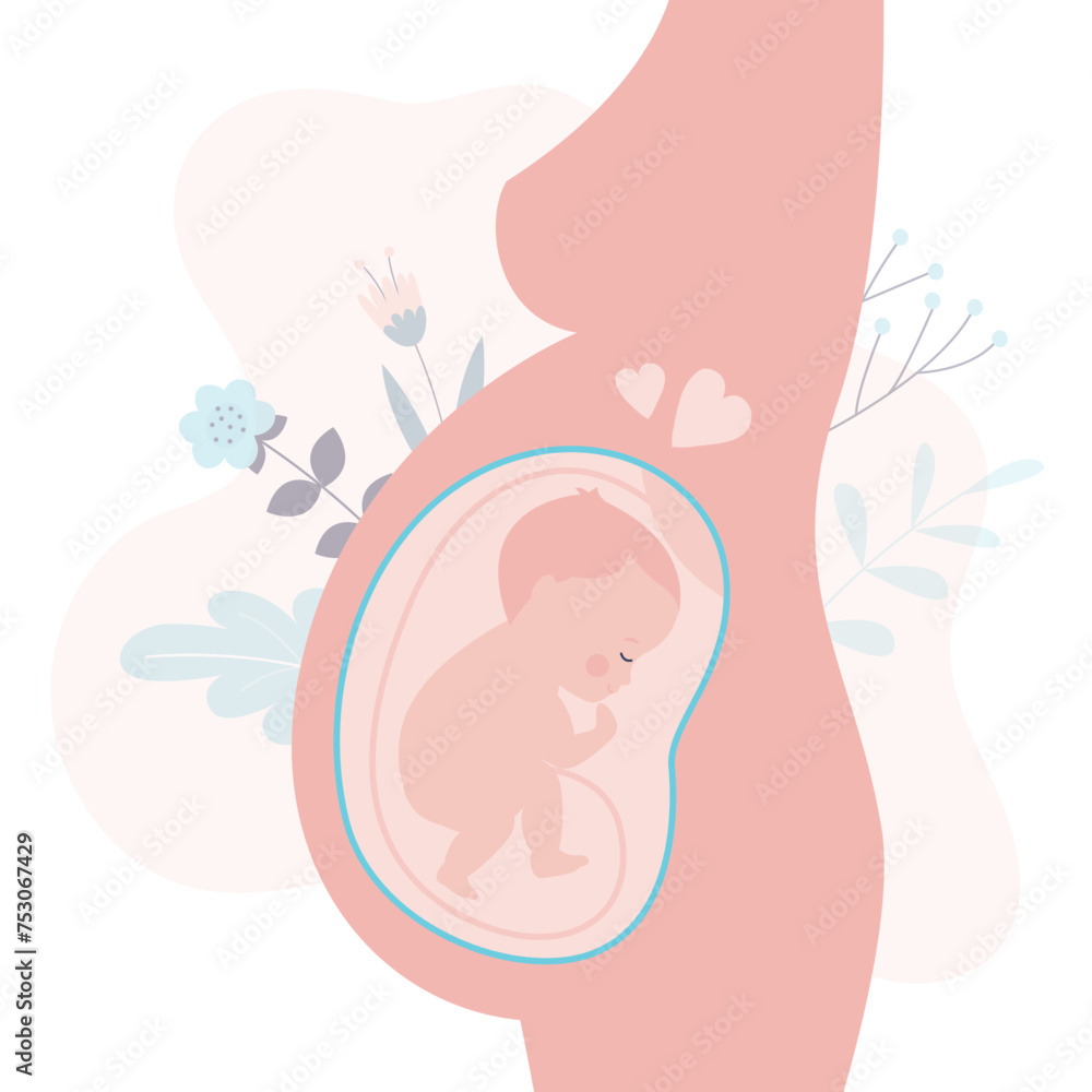 Human unborn baby fetus in mother's belly. Happy pregnant woman. Pregnancy concept. Baby in womb. Pregnancy and health of mother and baby inside. Human unborn baby fetus in mother's belly. Happy pregnant woman. Pregnancy concept. Baby in womb. Pregnancy and health of mother and baby inside.