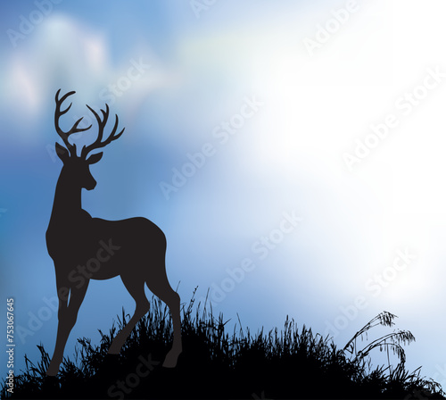 Silhouette of deer in the grass by the lake. Vector drawing