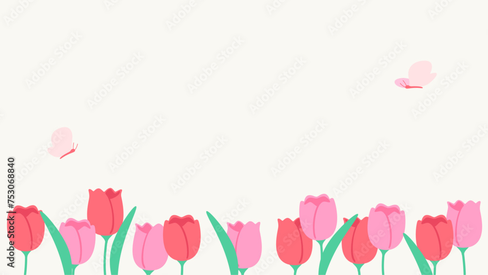 Spring flower background material, pink tulips Spring flower background material, pink tulips