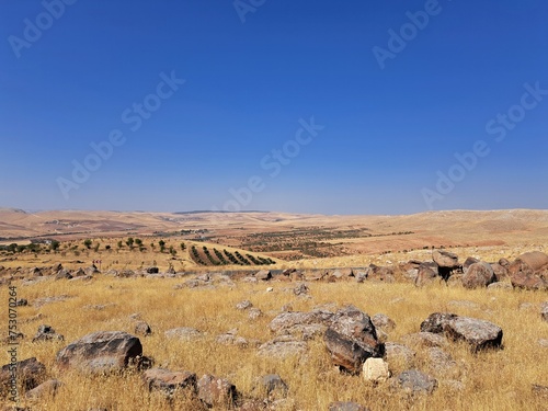 trockene Landschaft in Anatolien bei Göbekli Tepe in der Türkei