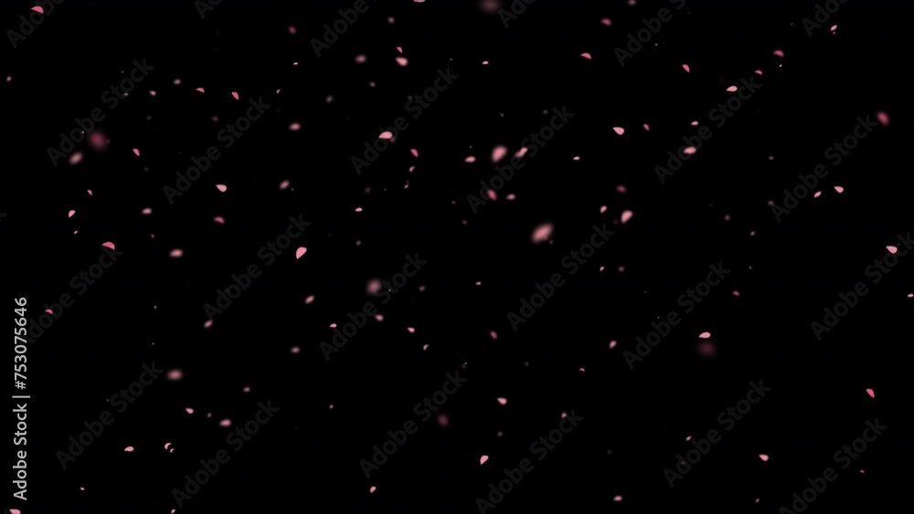 Cherry blossom petals dancing in the wind with alpha channel background, Sakura petals falling particle transparent background for overlays Cherry blossom petals dancing in the wind with alpha channel background, Sakura petals falling particle transparent background for overlays
