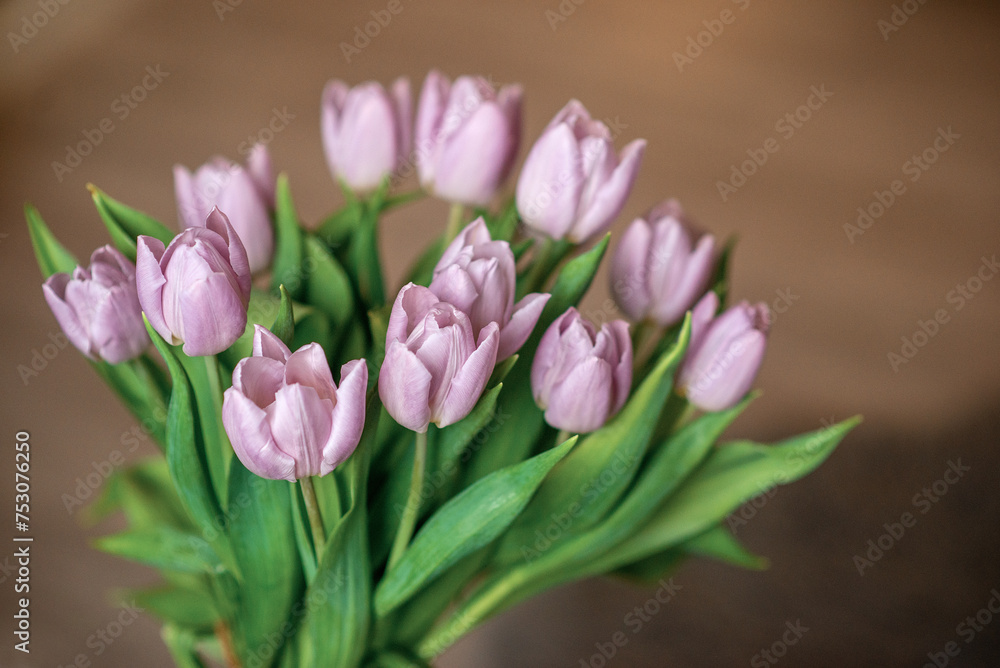 Obraz premium Bouquet of pink tulips 