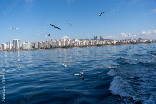 A flock of seagulls flying over a body of water