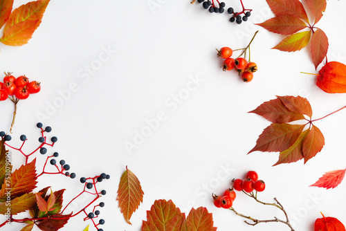 Autumn leaves on white background natural background