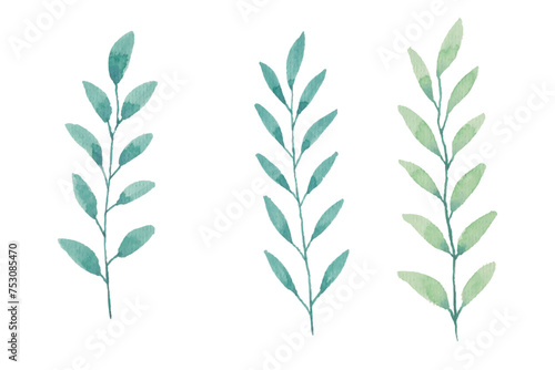 Watercolor leaves illustration set - green leaf branches collection for wedding, greetings, stationary, wallpapers, fashion, background. olive, green leaves, Eucalyptus etc