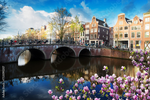 Fototapeta Naklejka Na Ścianę i Meble -  Dutch scenery with canal and mirror reflections with spring tree, Amsterdam, Netherlands