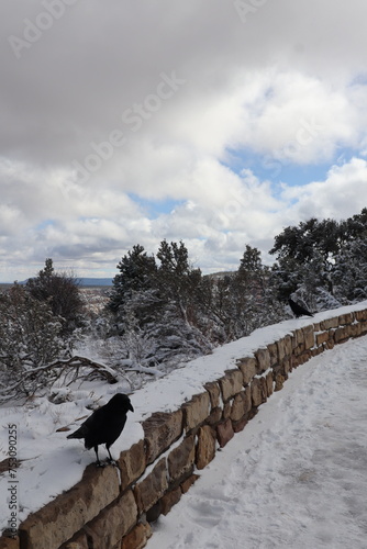 Grand Canyon, Arizona photo