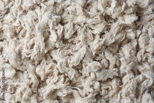 close-up of kapok tree cotton or fiber, ceiba pentandra, light and fluffy fibers used as stuffing for pillows, mattresses and life jackets, natural filling materials in full frame background