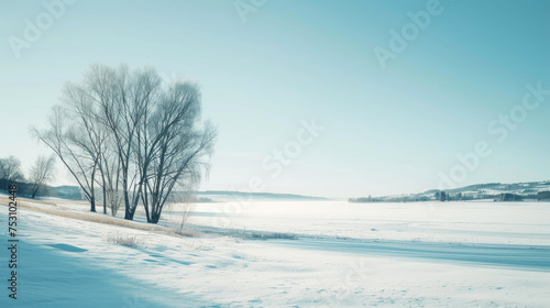Silent Symphony: Snowy Swedish Vista in Artistic Form