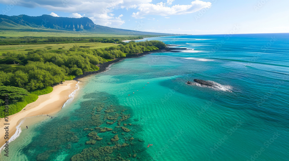 Obraz premium Hawaiian Dreams: Breathtaking Beach Escapes