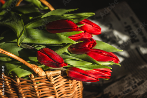 Red tulips in the busket