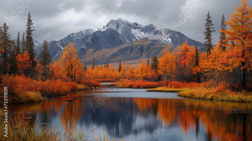 The autumn colours ignite the landscape in colour along the dempster highway, yukon. an amazing, beautiful place any time of year but it takes on a different feel in autumn, yukon, canada.