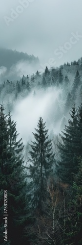 Wintergreen Banner in Snowy Landscape Generative AI