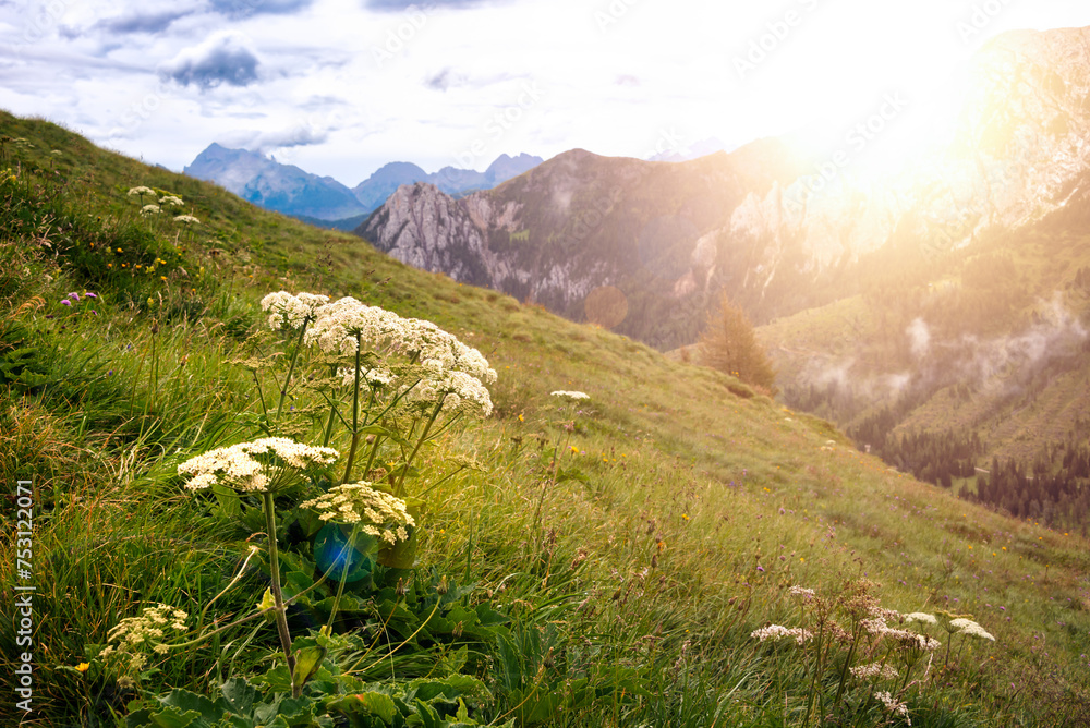 Fototapeta premium Dolomite alps with a mountain village and green meadows