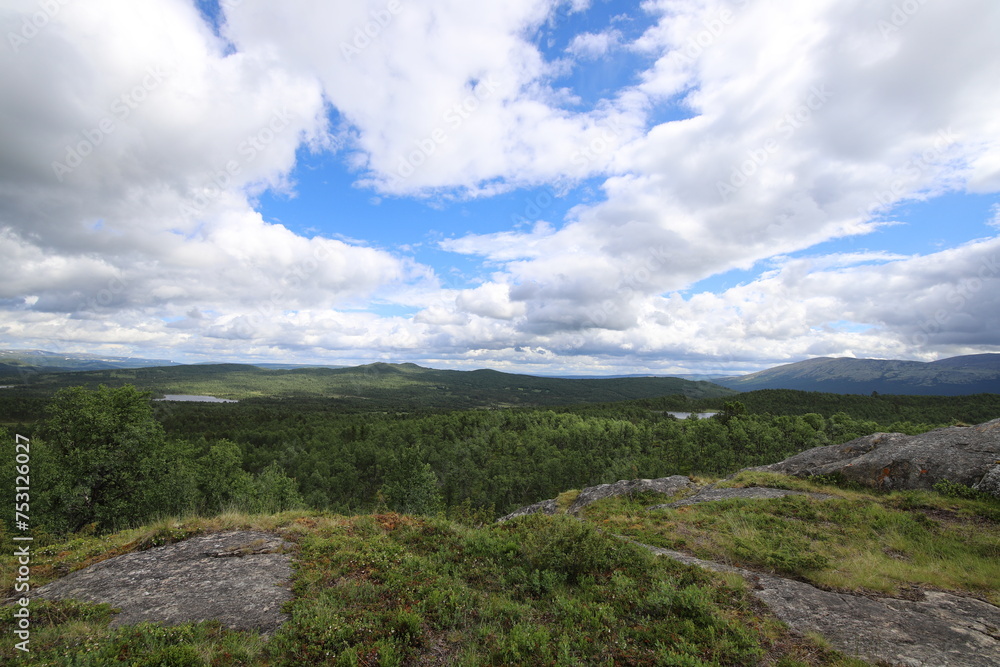 Norwegian nature