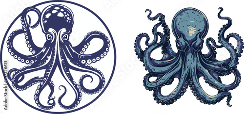 Vector of an octopus design on a white background. Aquatic animals. Set of vector illustrations.