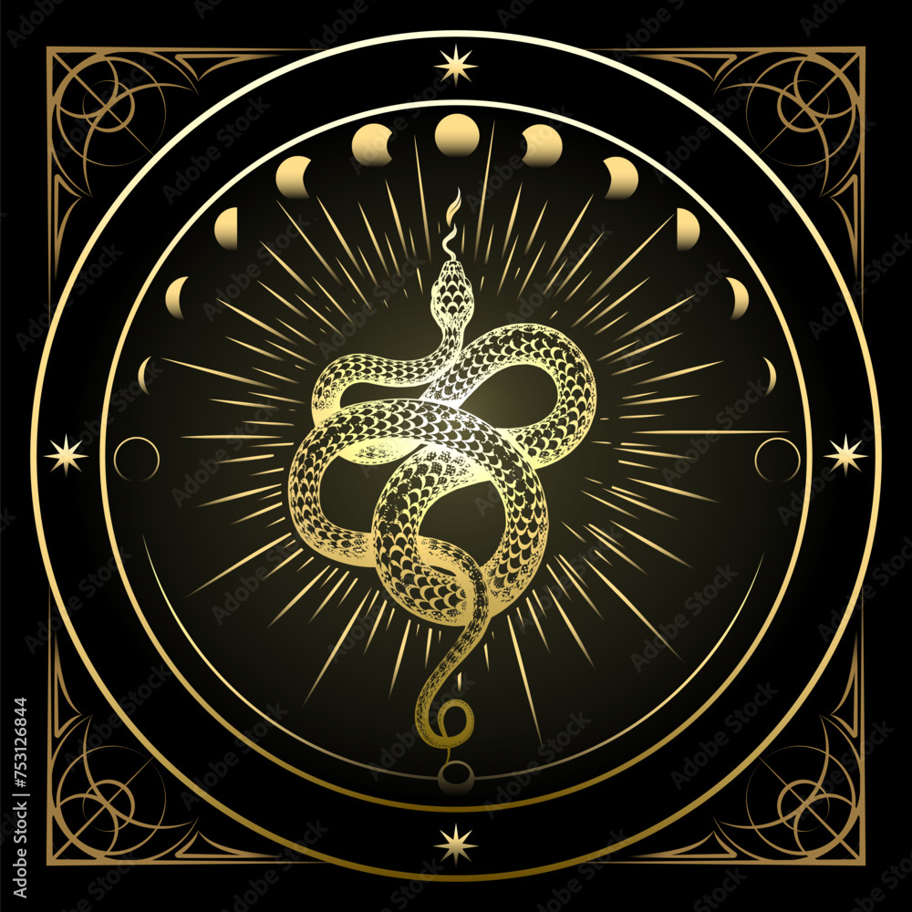 Golden Snake and Phases of Moon Astrological Illustration Golden Snake and Phases of Moon Astrological Illustration
