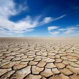 Imploring Skies: A Stark Depiction of a Parched, Dehydrated Land Staring at the Naked Sky