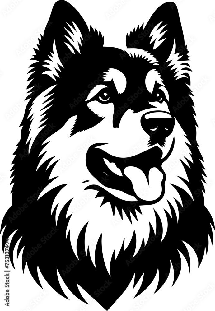 Fototapeta premium American Alsatian 