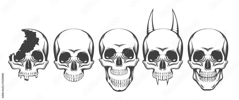 Human Skull Front View Set Human Skull Front View Set