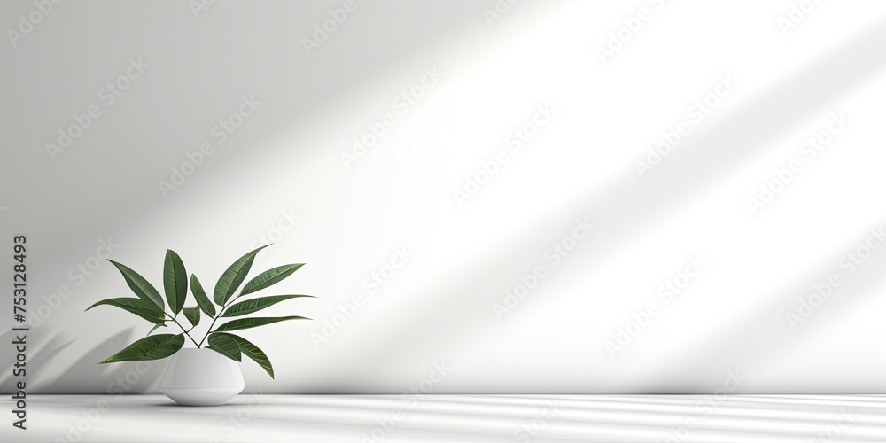 White room with empty table, leaf shadow, sunlight, and white wall. Ideal for product presentation. White room with empty table, leaf shadow, sunlight, and white wall. Ideal for product presentation.