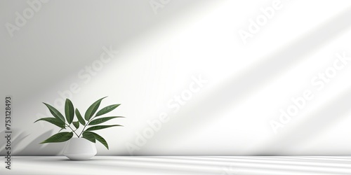 White room with empty table, leaf shadow, sunlight, and white wall. Ideal for product presentation.