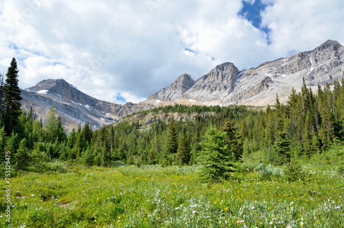 Various scenes from the Canadian Rockies