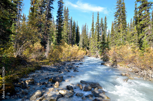 Various scenes from the Canadian Rockies